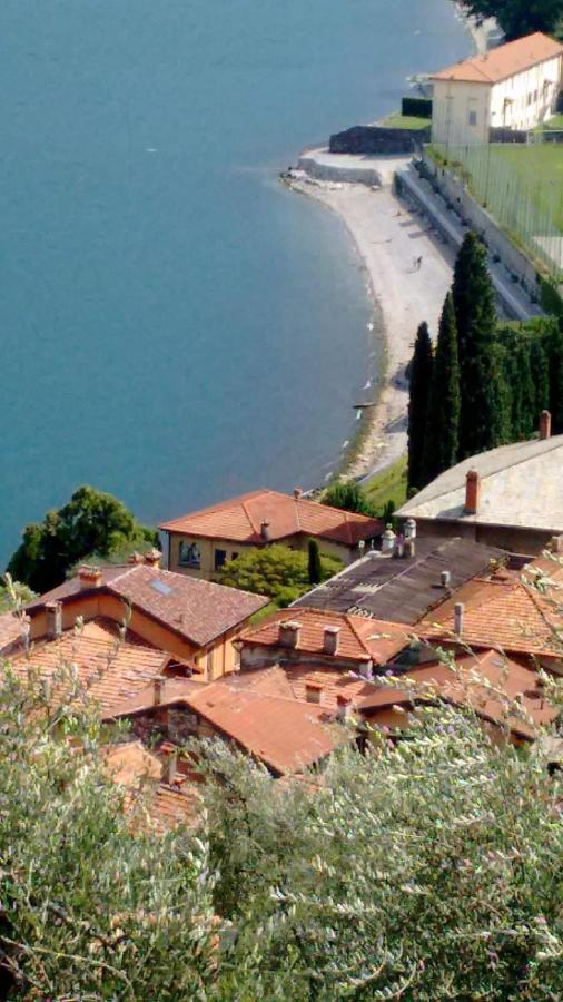 Appartement Il Terrazzino à Musso Extérieur photo